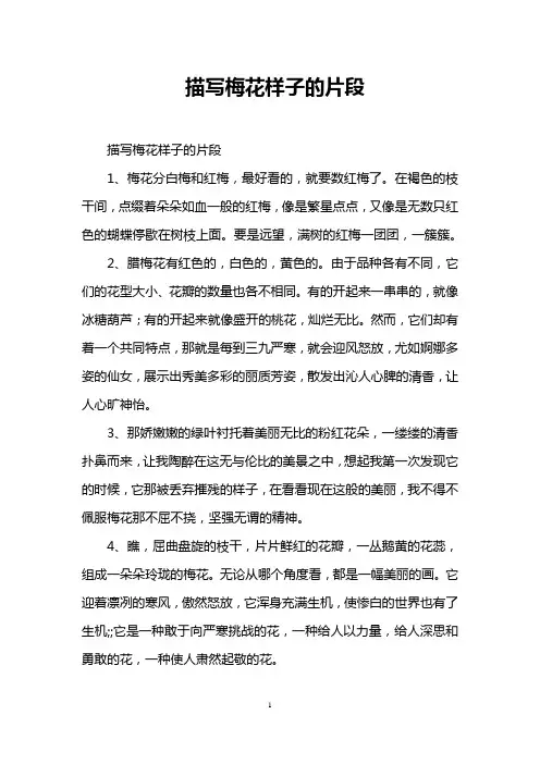 描写梅花样子的片段
