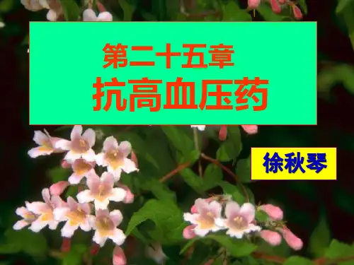 第25章 抗高血压药