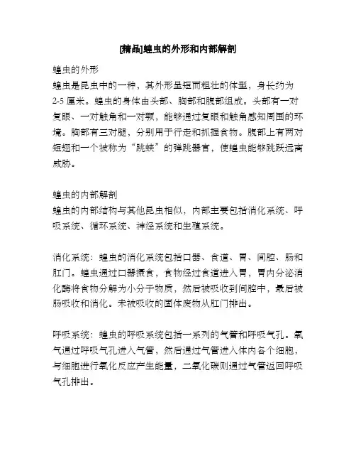 [精品]蝗虫的外形和内部解剖