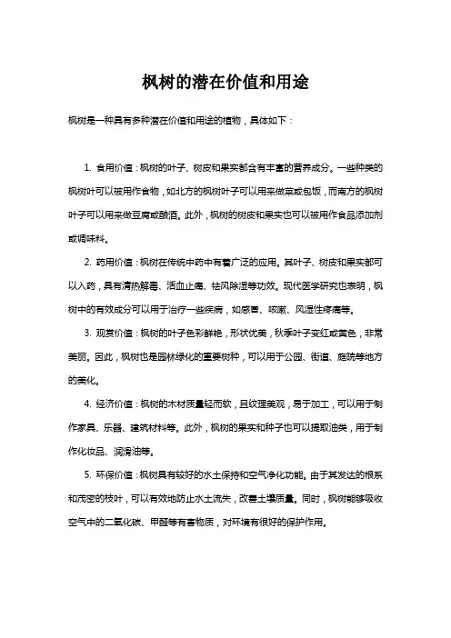 枫树的潜在价值和用途