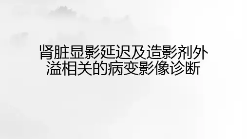 肾脏显影延迟及造影剂外溢相关的病变影像诊断