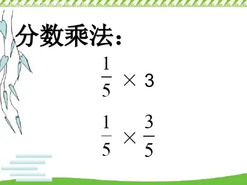 分数除法总复习