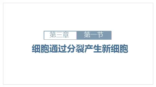 细胞通过分裂产生新细胞ppt课件