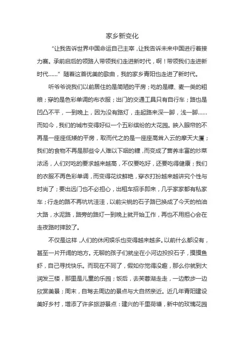 我的家乡走进新时代