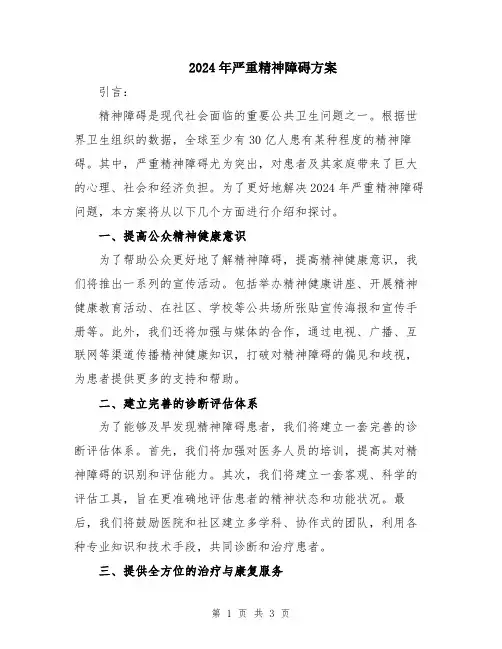 2024年严重精神障碍方案