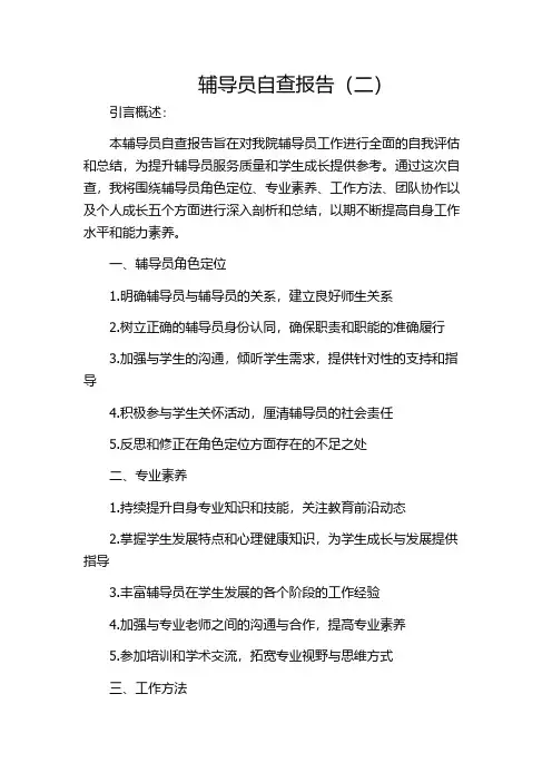 辅导员自查报告(二)