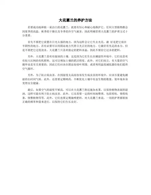 大花蕙兰的养护方法