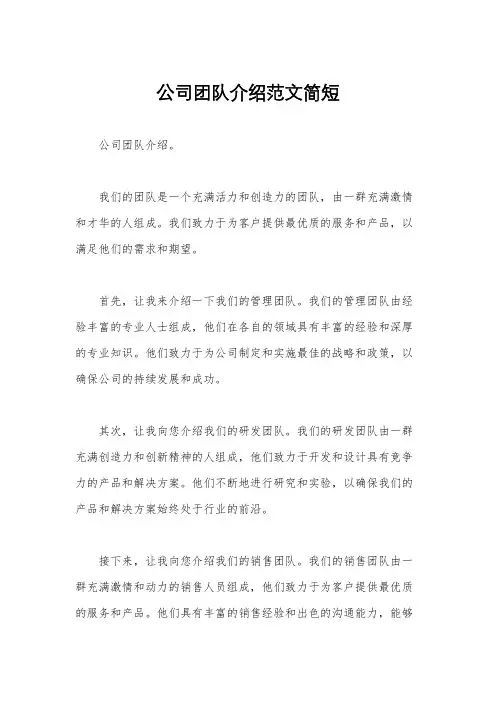 公司团队介绍范文简短