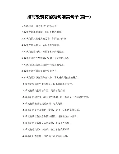 描写玫瑰花的短句唯美句子(精选2篇)