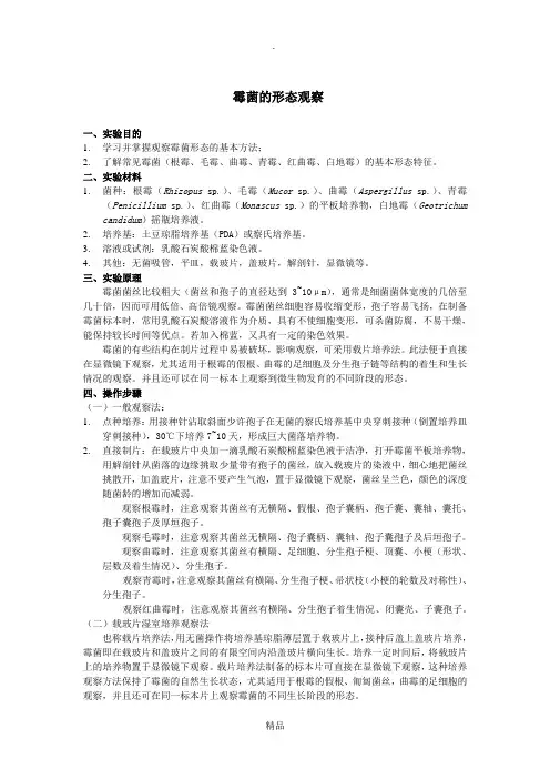 曲霉和青霉的形态观察