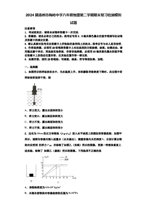 2024届扬州市梅岭中学八年级物理第二学期期末复习检测模拟试题含解析