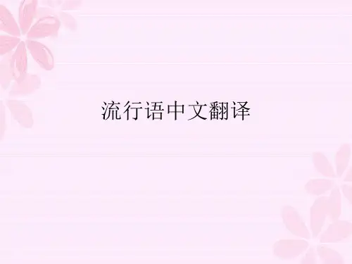 中文流行语英语翻译
