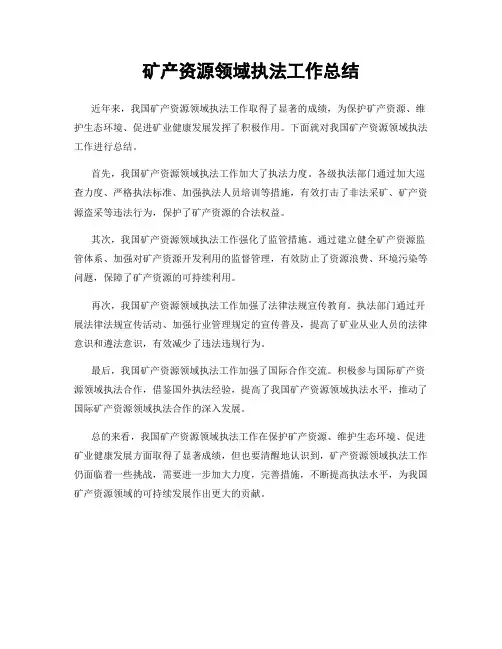 矿产资源领域执法工作总结
