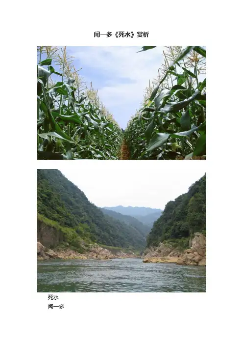 闻一多《死水》赏析