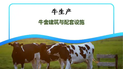 牛场建筑与配套设施课件(共24张PPT)《牛生产》同步教学(中国农业出版社)