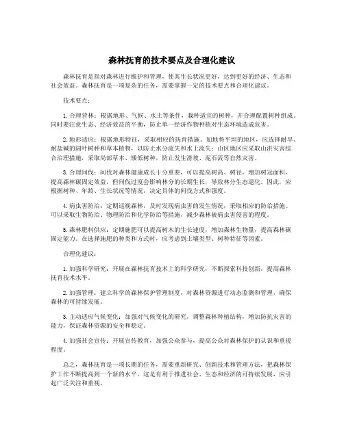 森林抚育的技术要点及合理化建议