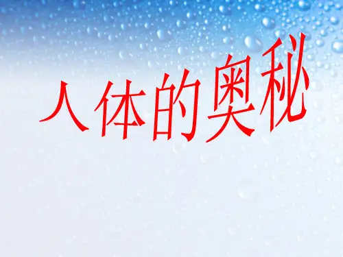 人体的奥秘精选ppt