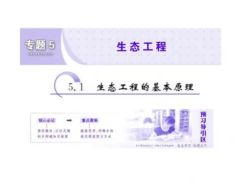 2018-2019学年高二生物人教版选修3专题五 生态工程5.1 生态工程的基本原理