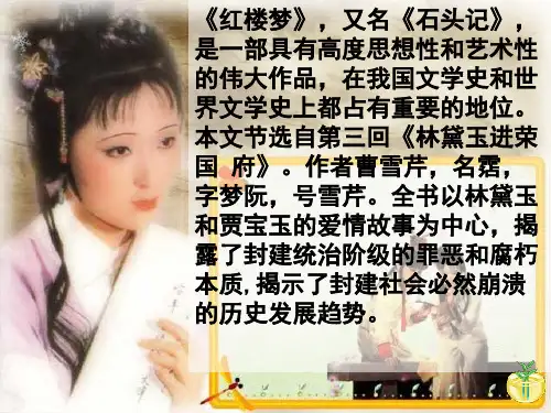凤辣子初见林黛玉-ppt课件-(2)