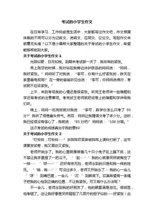 关于考试的小学生作文（8篇）