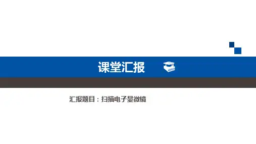 扫描电子显微镜(sem-eds)初步认识