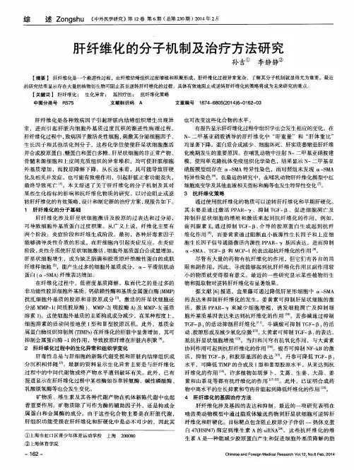 肝纤维化的分子机制及治疗方法研究