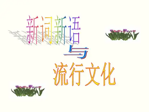 《新词新语与流行文化》ppt课件