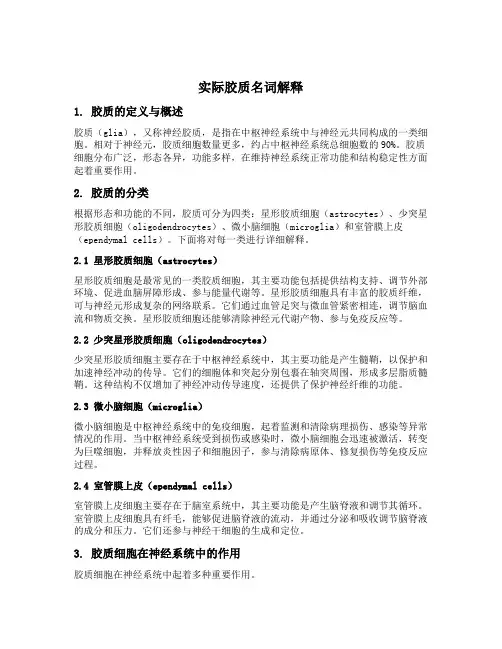 实际胶质名词解释