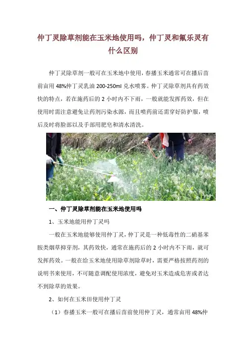 仲丁灵除草剂能在玉米地使用吗,仲丁灵和氟乐灵有什么区别