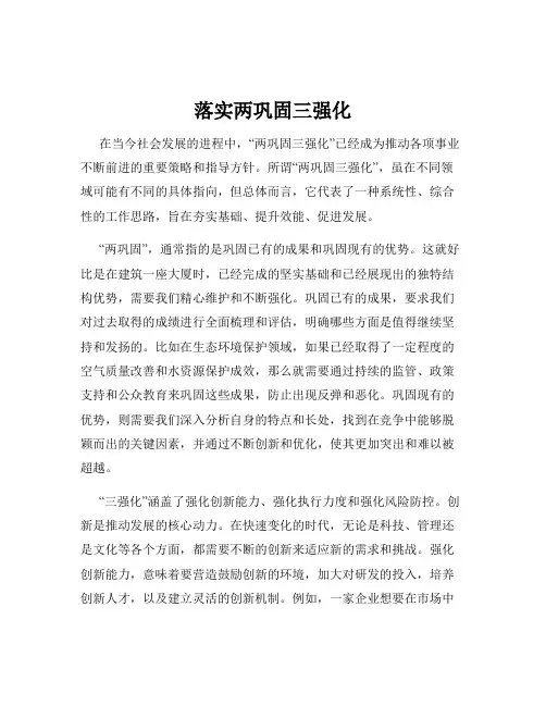 落实两巩固三强化