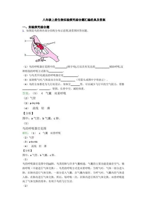 八年级上册生物实验探究综合题汇编经典及答案