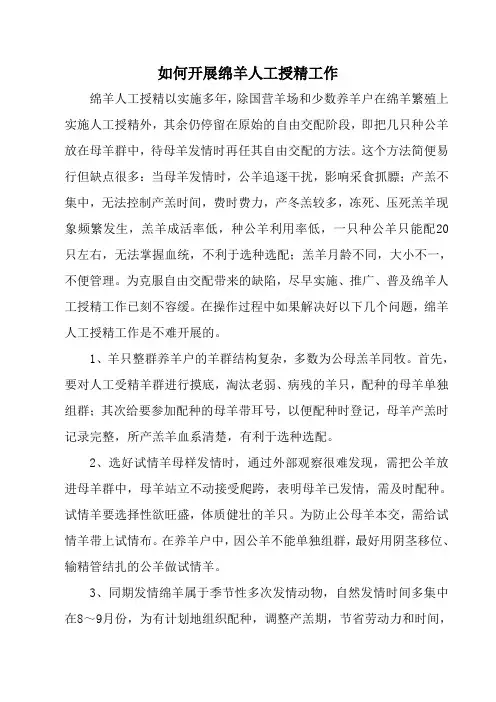 如何开展绵羊人工授精工作
