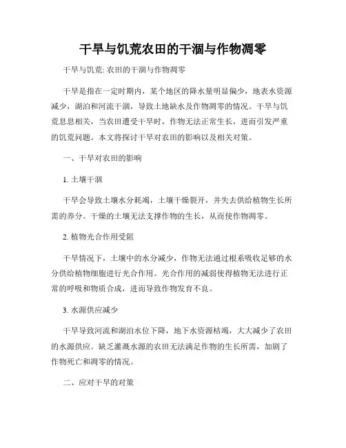 干旱与饥荒农田的干涸与作物凋零
