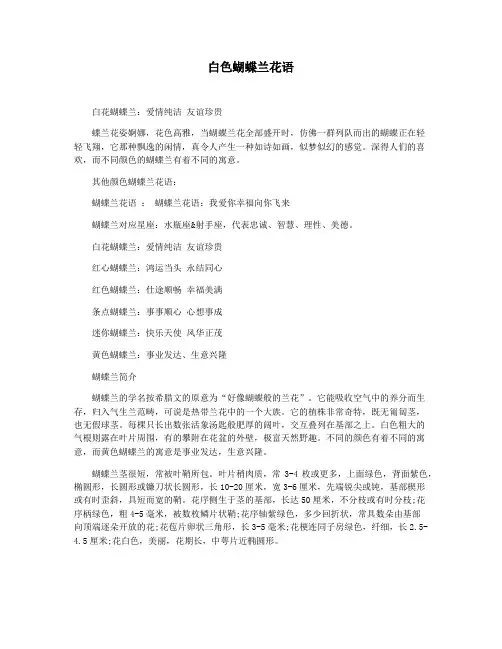 白色蝴蝶兰花语