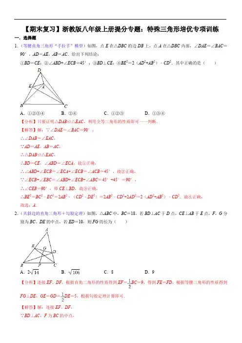 特殊三角形培优专项训练(解析版)