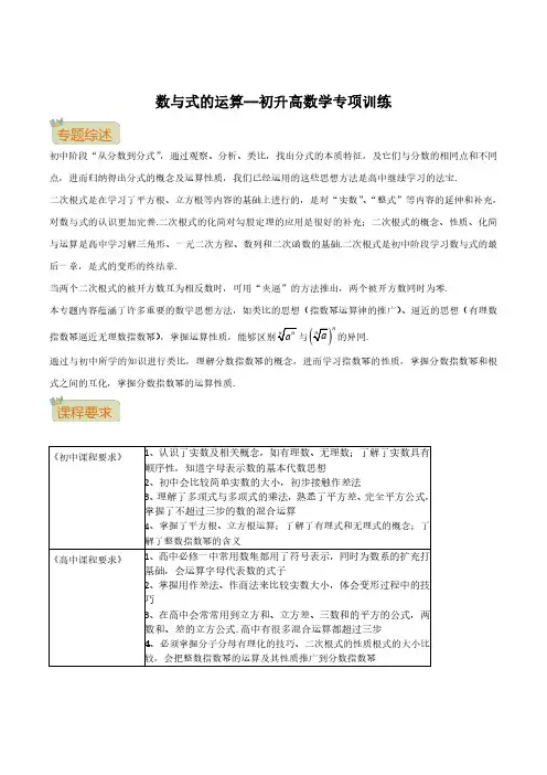 数与式的运算(教师版)--初升高数学专项训练