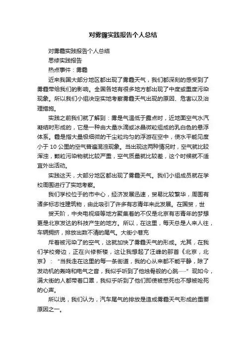 对雾霾实践报告个人总结