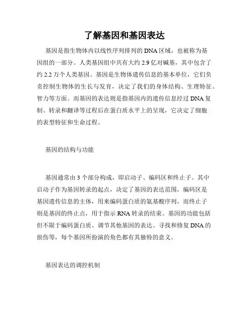 了解基因和基因表达