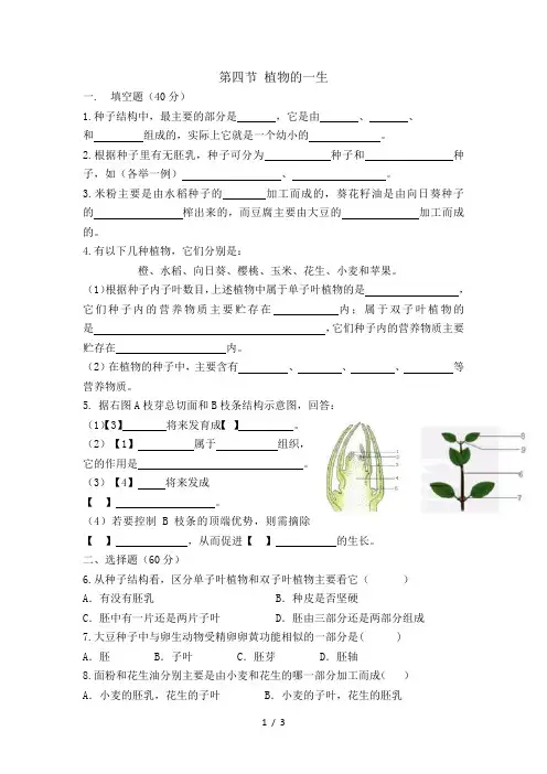 第四节 植物的一生练习题