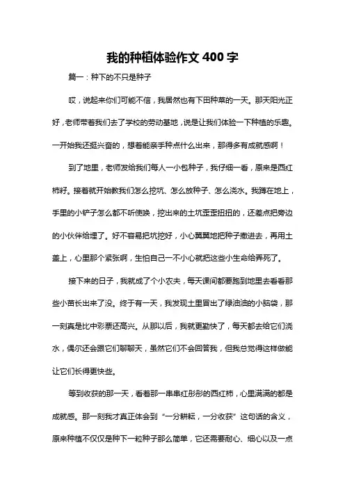 我的种植体验作文400字