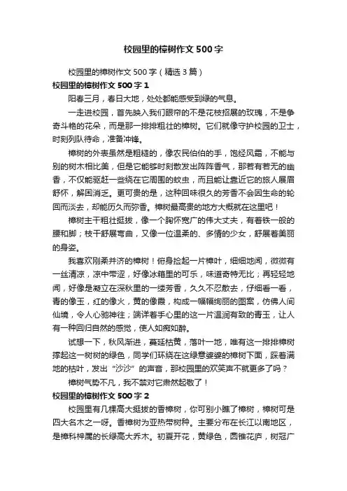 校园里的樟树作文500字（精选3篇）
