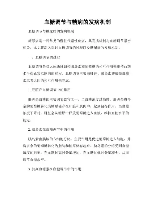 血糖调节与糖病的发病机制