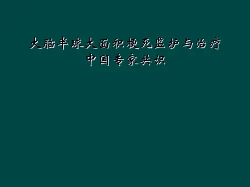 大脑半球大面积梗死监护与治疗中国专家共识