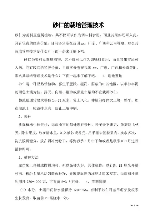 砂仁的栽培管理技术