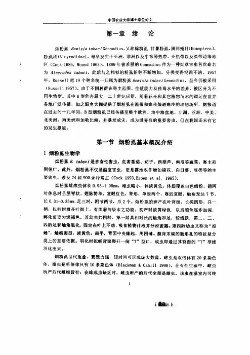 y4516610002