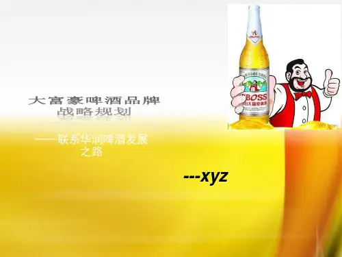 大富豪啤酒品牌管理规划