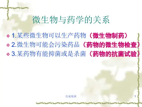 药物的体外抗菌试验[荟萃精制]