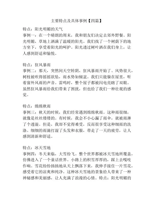 主要特点及具体事例【四篇】