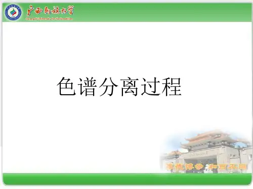 色谱分离过程