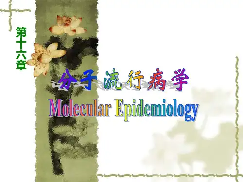 流行病学 第十六章 分子流行病学